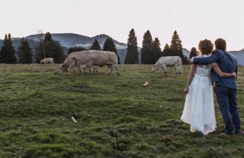 Sesiones de post-boda en Vitoria-Gasteiz